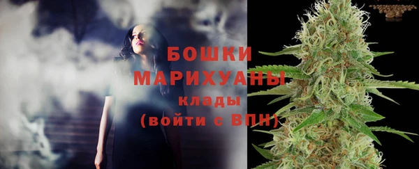 PSILOCYBIN Бронницы