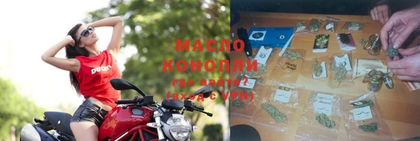 гидра Богородицк