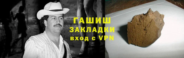 гидра Богородицк