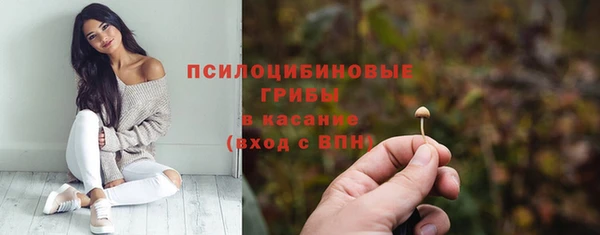 PSILOCYBIN Бронницы