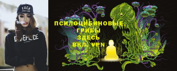 гидра Богородицк