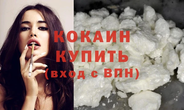 PSILOCYBIN Бронницы