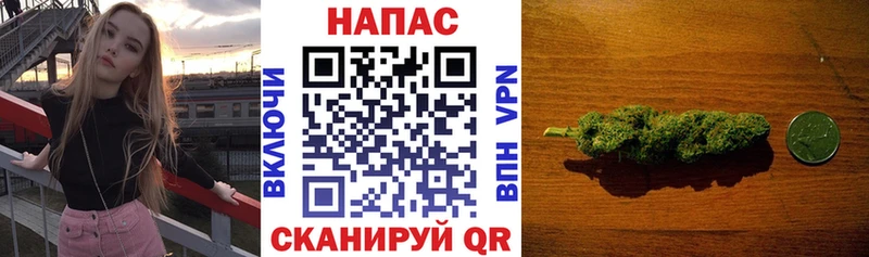 закладки mega как войти Каннабис VHQ Кирс